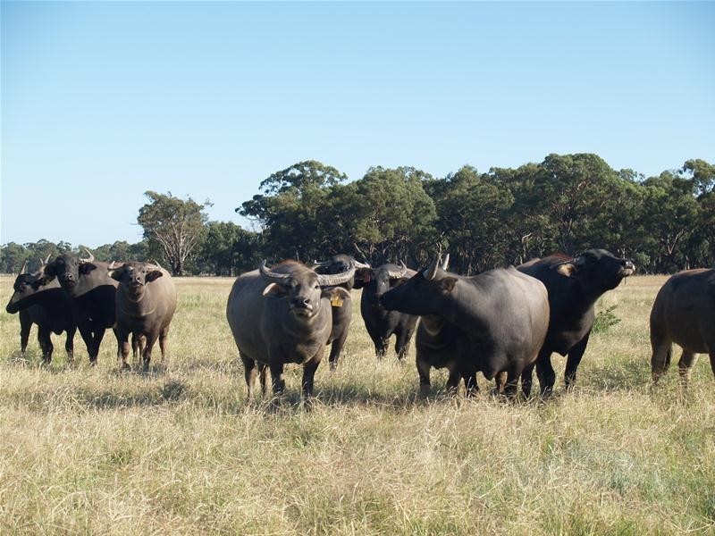 472 Gordons Road, Numurkah VIC 3636