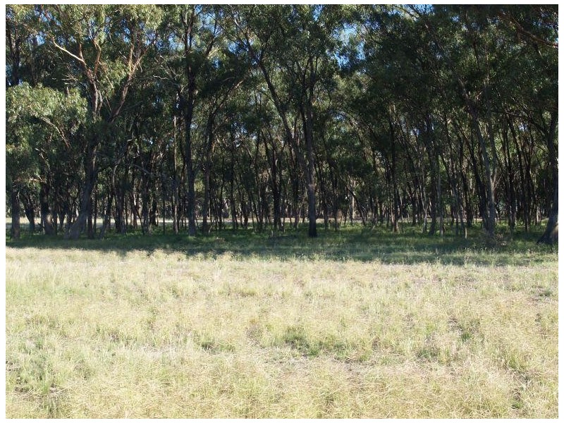 472 Gordons Road, Numurkah VIC 3636