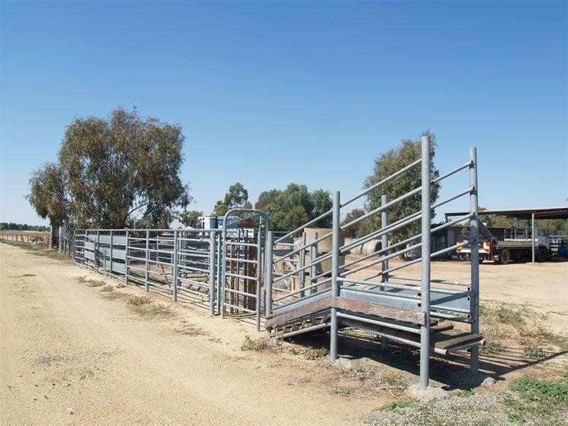 673 Hendys Road, Numurkah VIC 3636