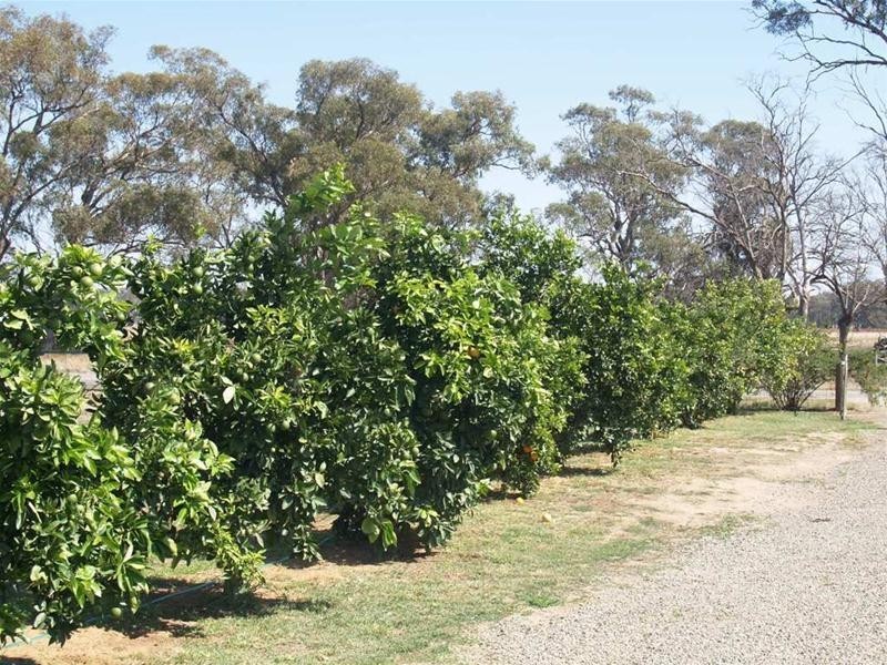 673 Hendys Road, Numurkah VIC 3636