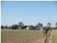 673 Hendys Road, Numurkah VIC 3636