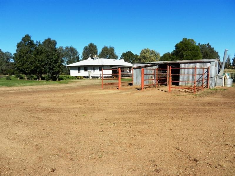 634 Naring Hall Road, Numurkah VIC 3636