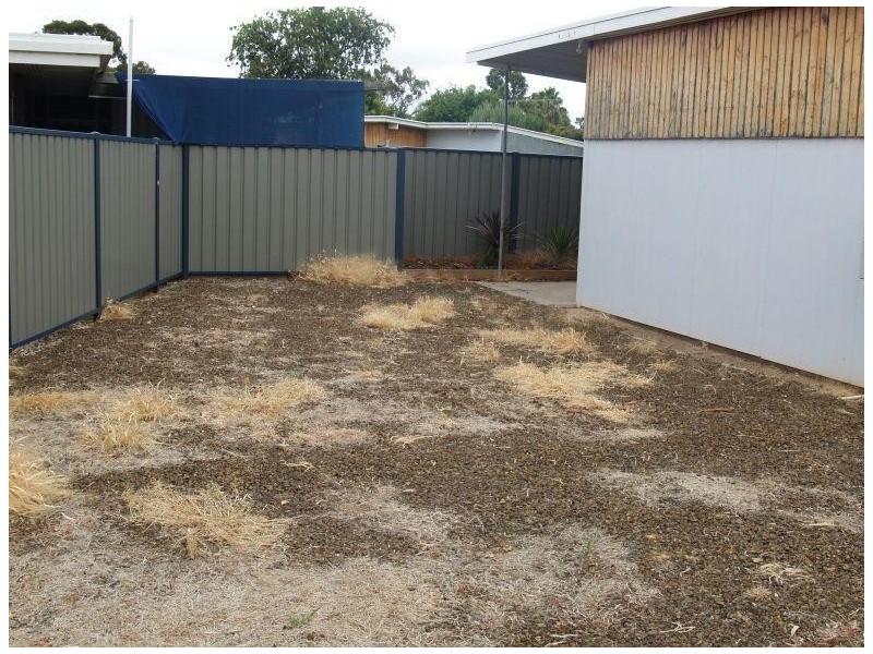 53 Pine Street, Numurkah VIC 3636