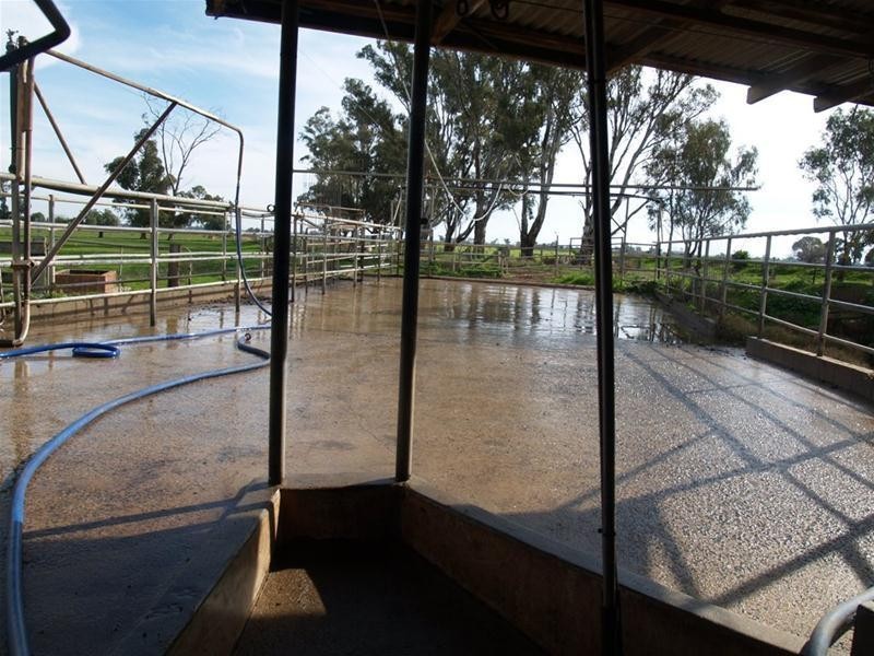 1386 Rendells Road, Numurkah VIC 3636