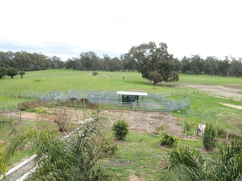 336 Hancocks Bridge Road, Kotupna VIC 3638