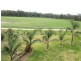 336 Hancocks Bridge Road, Kotupna VIC 3638