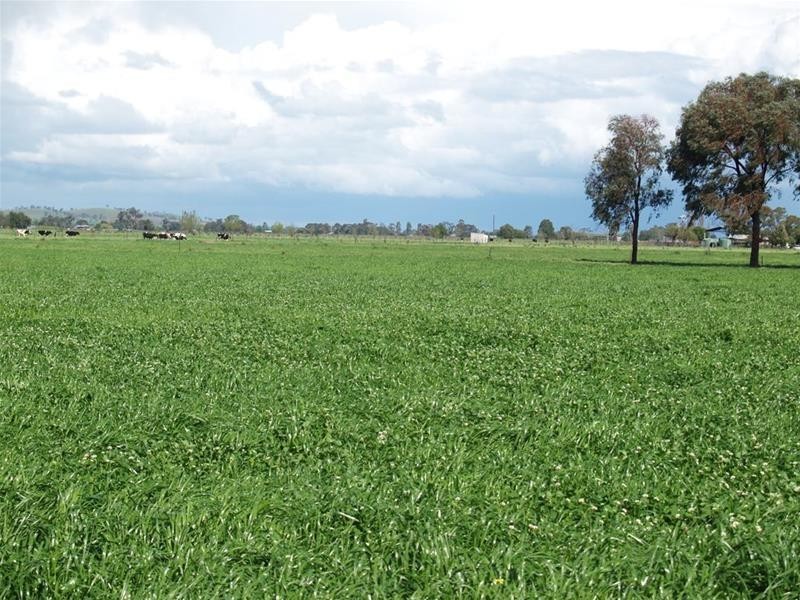 410 Union Road, Katandra West VIC 3634