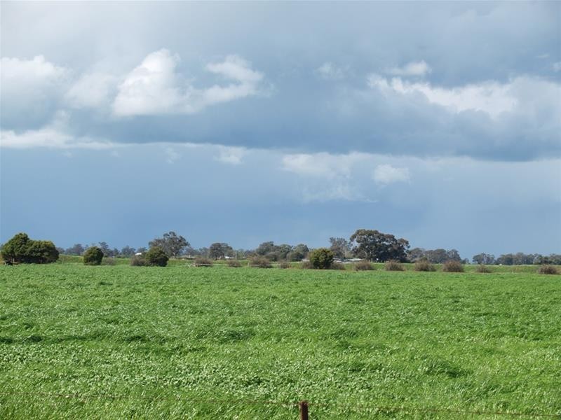 410 Union Road, Katandra West VIC 3634