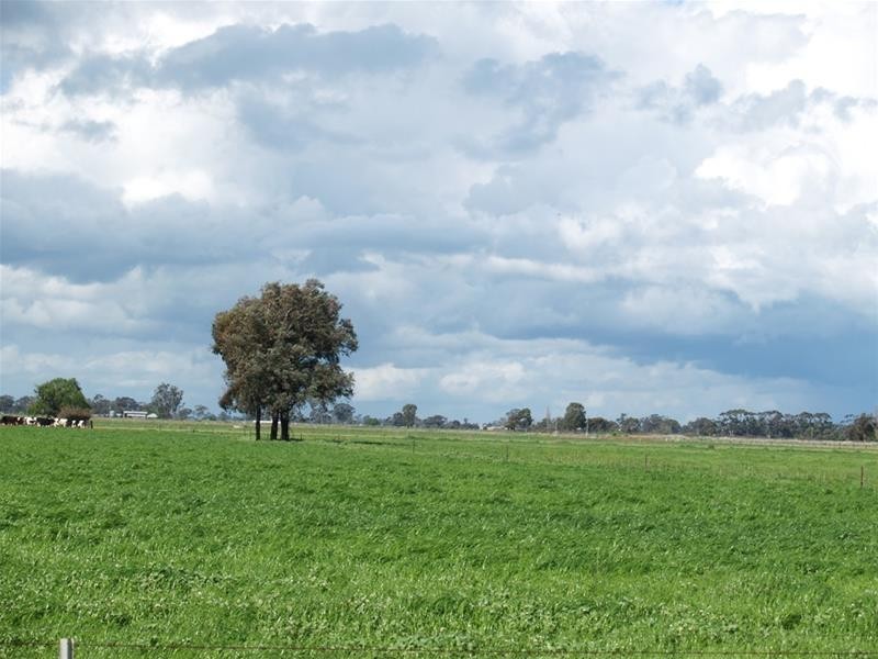 410 Union Road, Katandra West VIC 3634