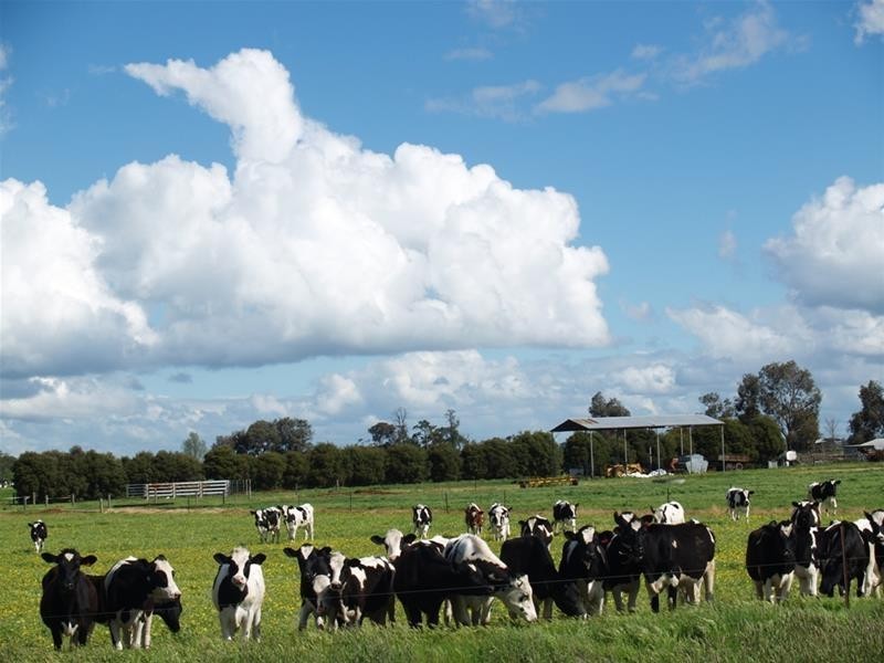 410 Union Road, Katandra West VIC 3634