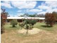 66 Sutcliffes Road, Numurkah VIC 3636