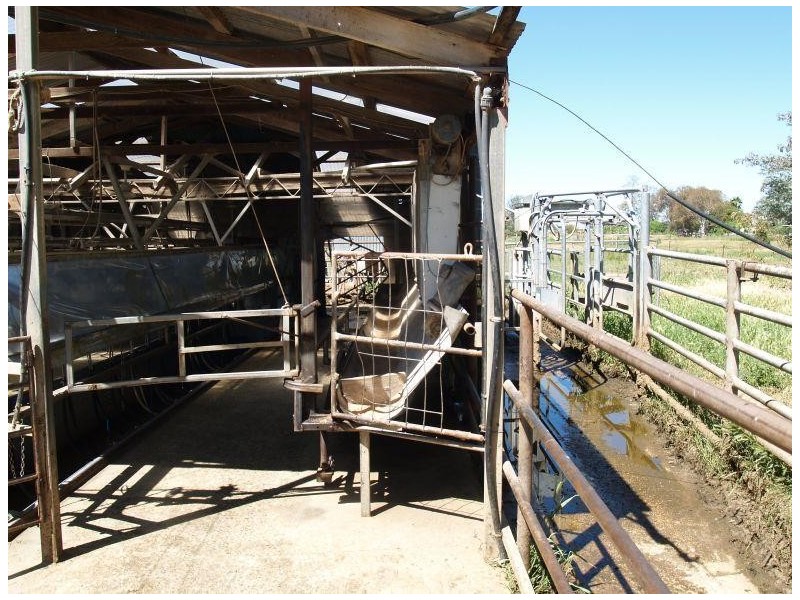 97 Hays Road, Katunga VIC 3640