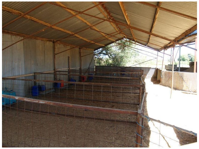 97 Hays Road, Katunga VIC 3640