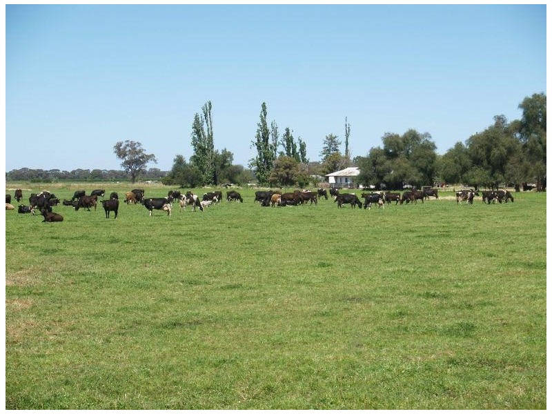 97 Hays Road, Katunga VIC 3640