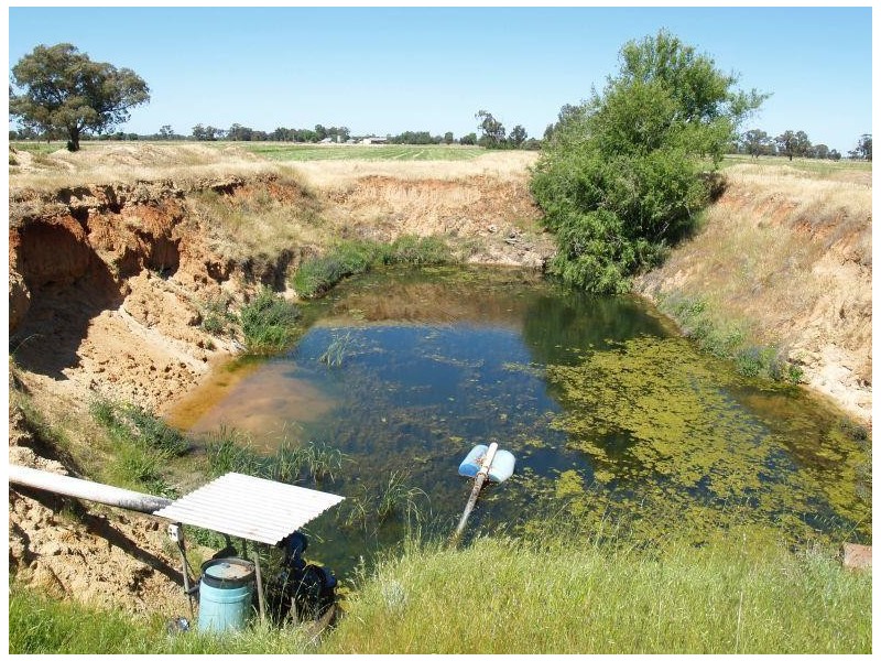 97 Hays Road, Katunga VIC 3640