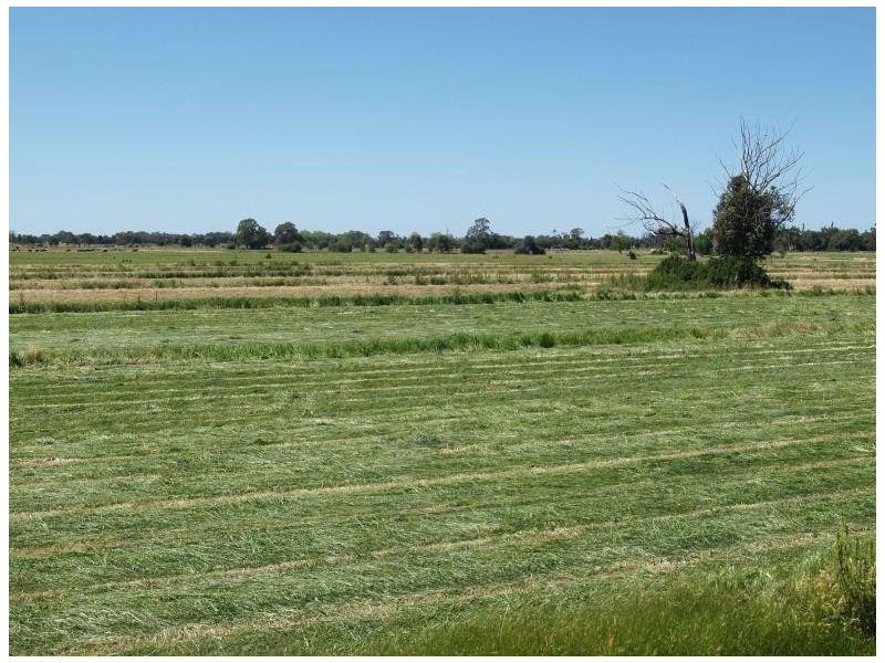 97 Hays Road, Katunga VIC 3640