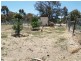 2981 Goulburn Valley Highway, Numurkah VIC 3636