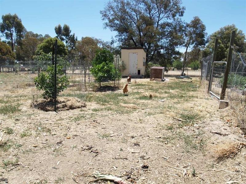 2981 Goulburn Valley Highway, Numurkah VIC 3636