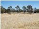 2981 Goulburn Valley Highway, Numurkah VIC 3636