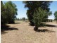 3898 Goulburn Valley Highway, Katunga VIC 3640