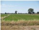 41 Hays Road, Katunga VIC 3640