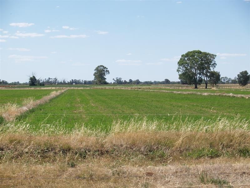 41 Hays Road, Katunga VIC 3640