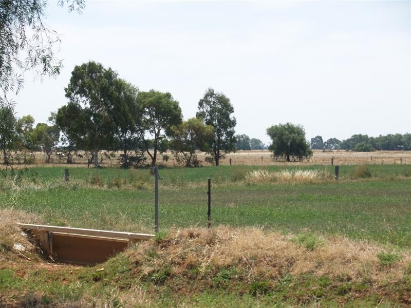 41 Hays Road, Katunga VIC 3640