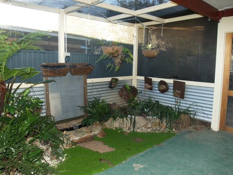 3 Collis Street, Numurkah VIC 3636