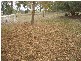 1091 Union Road, Numurkah VIC 3636