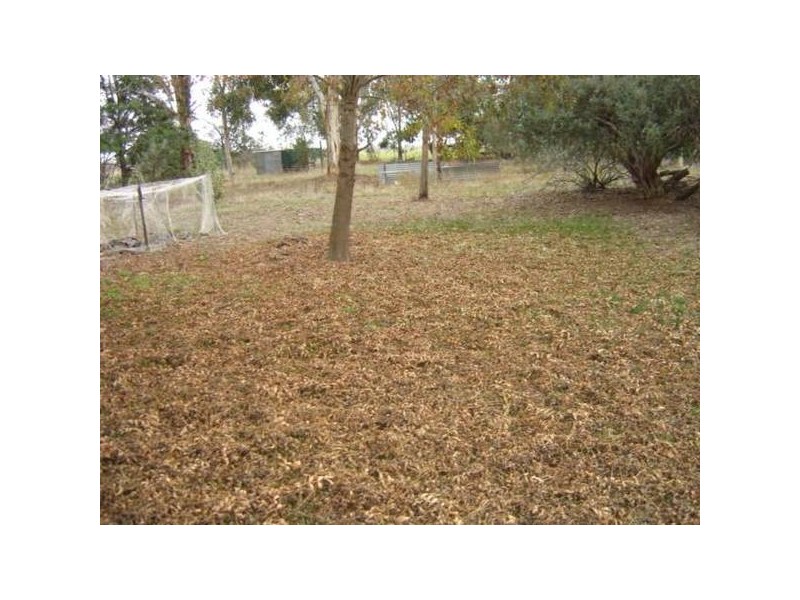 1091 Union Road, Numurkah VIC 3636