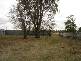 30 Campbell Street, Numurkah VIC 3636