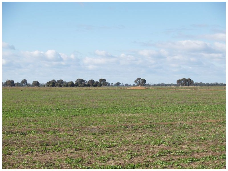 2123 Boothroyds Road, Numurkah VIC 3636