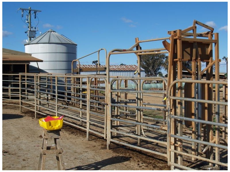 355 Waaia – Bearii Road, Waaia VIC 3637