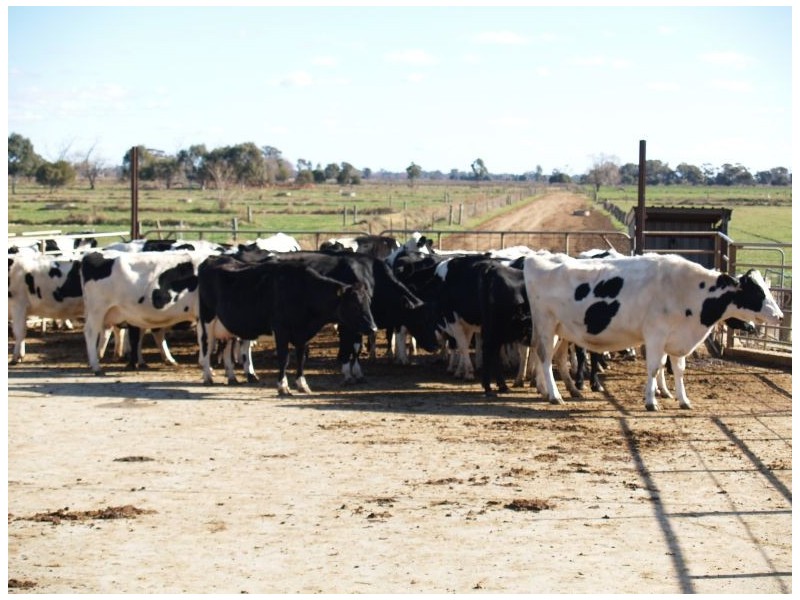 355 Waaia – Bearii Road, Waaia VIC 3637