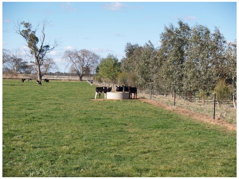 355 Waaia – Bearii Road, Waaia VIC 3637