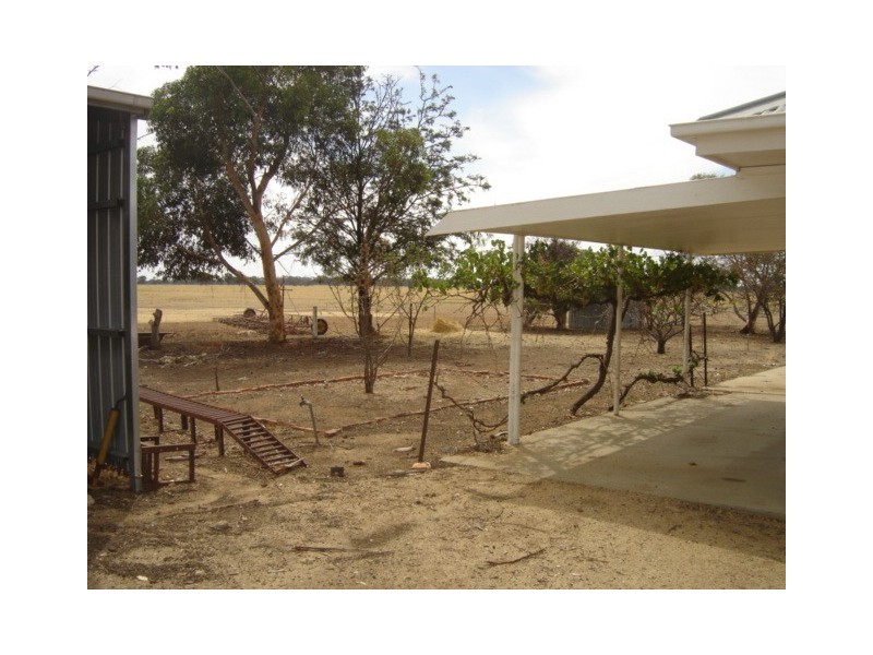 902 Kellys Road, Wunghnu VIC 3635