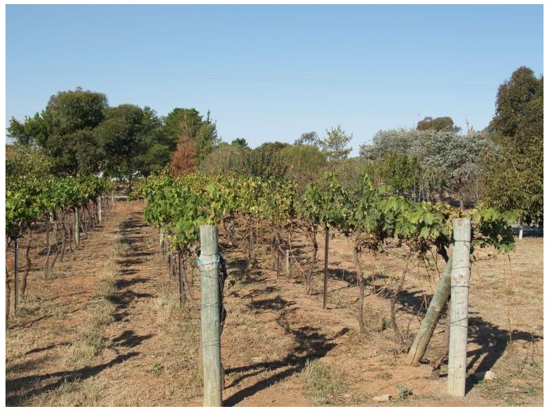 31 Ferris Street, Bearii VIC 3641