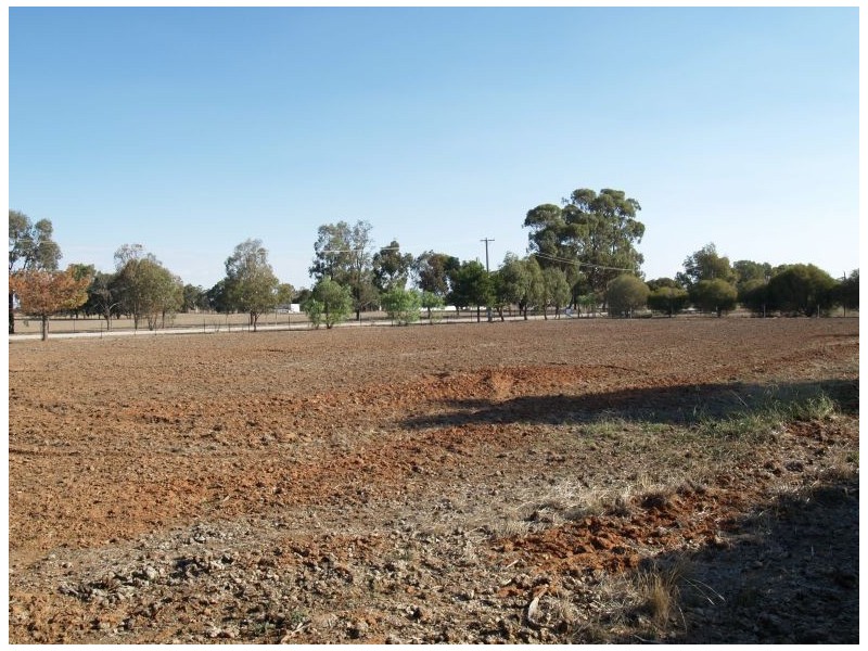 31 Ferris Street, Bearii VIC 3641