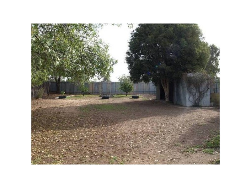Numurkah VIC 3636