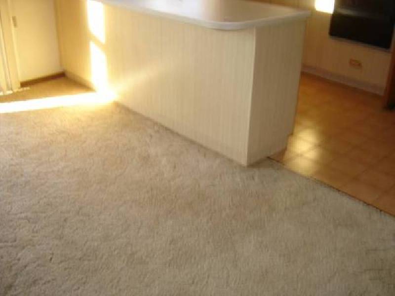 21 Thornton Street, Numurkah VIC 3636