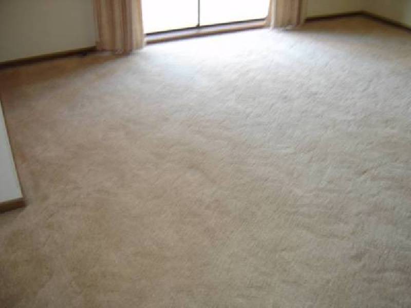 21 Thornton Street, Numurkah VIC 3636