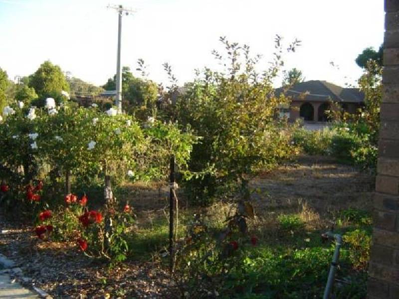 21 Thornton Street, Numurkah VIC 3636