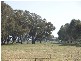 Lot 2 Naring Hall Road, Numurkah VIC 3636