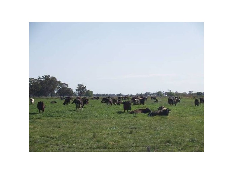 Lot 1 Hendys Road, Numurkah VIC 3636