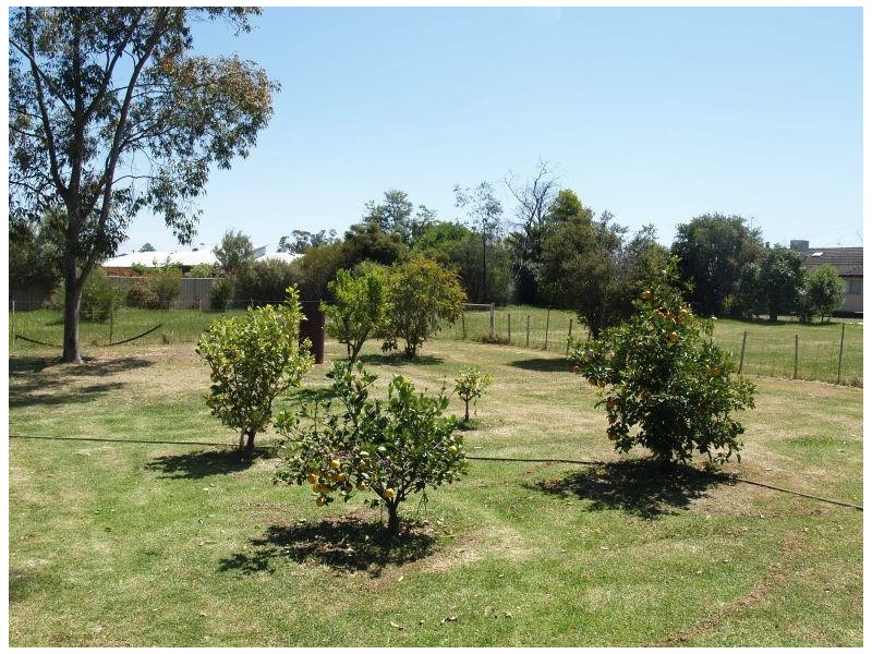 5 Glenny Lane, Numurkah VIC 3636