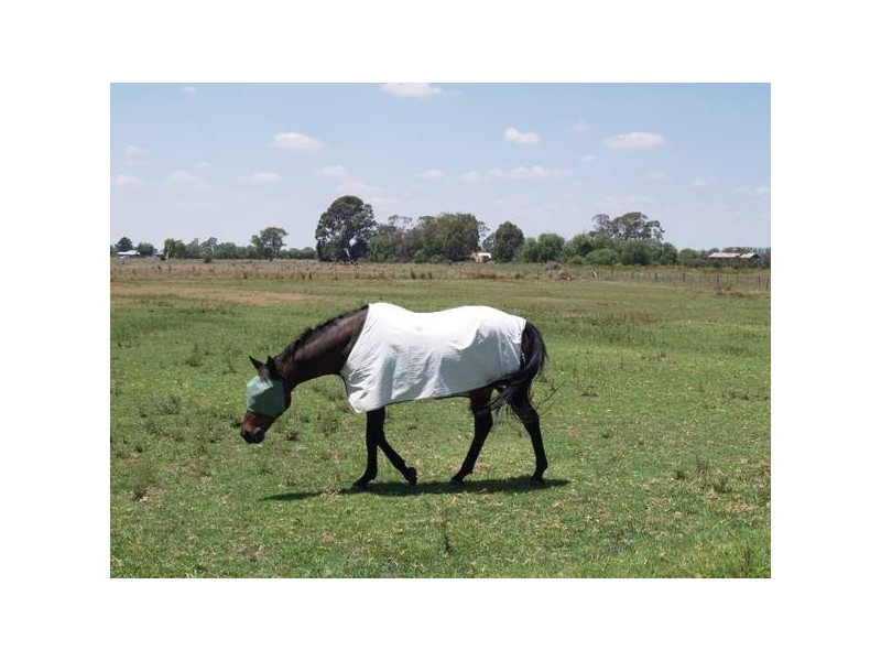 47 Orams Road, Katunga VIC 3640