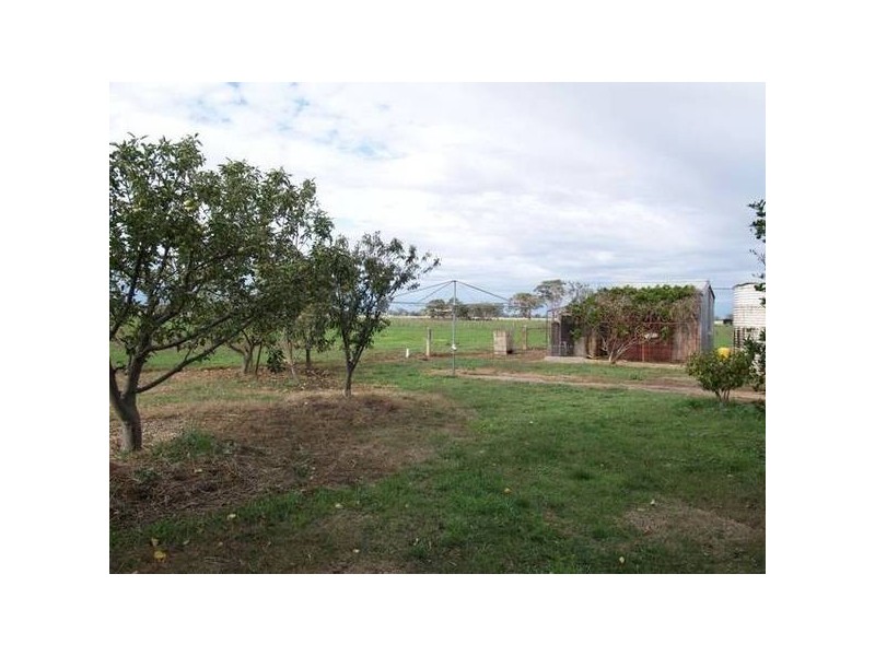 1529 Rendells Road, Numurkah VIC 3636