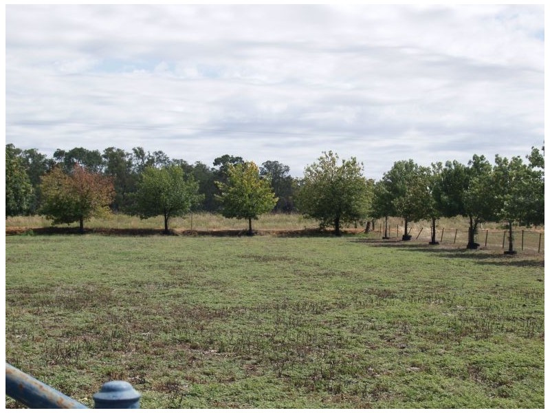 419 Drumanure Road, Numurkah VIC 3636