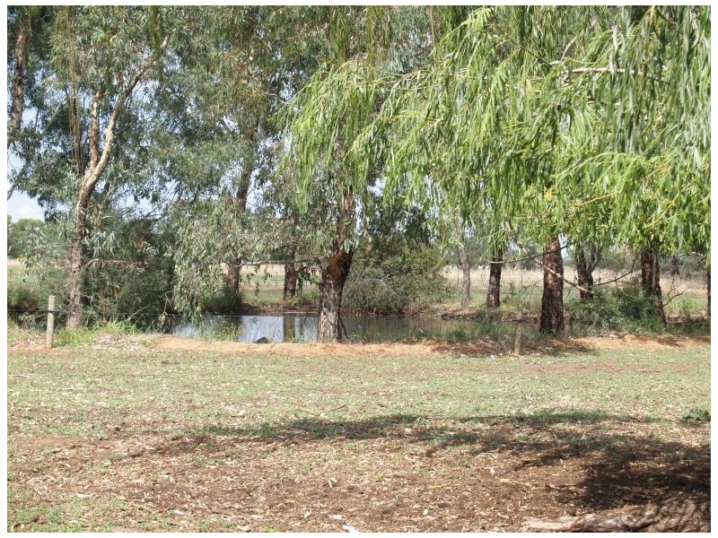 419 Drumanure Road, Numurkah VIC 3636