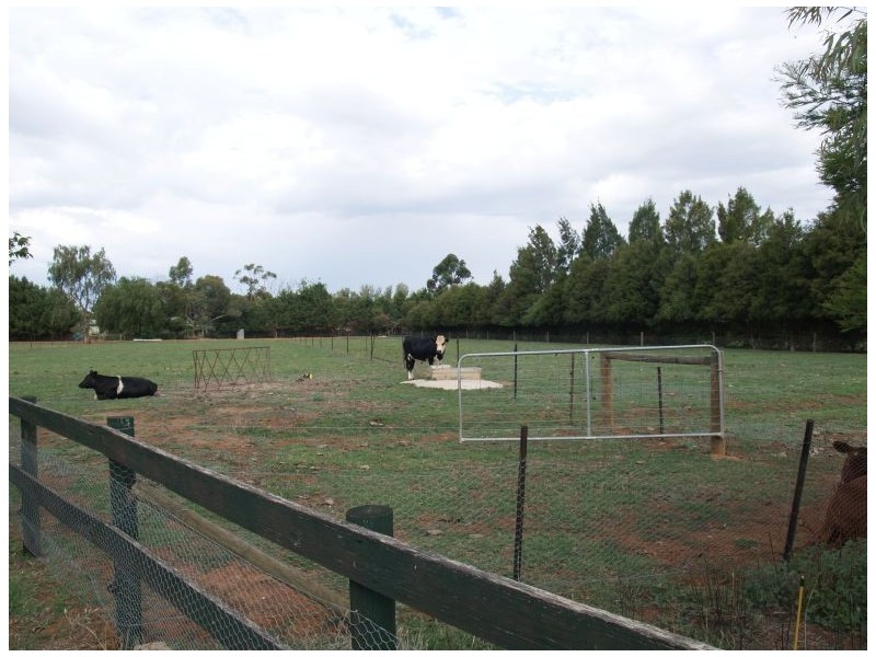 410 Numurkah Road, Numurkah VIC 3636